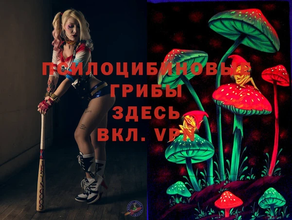 ECSTASY Алзамай
