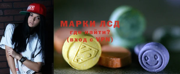 ECSTASY Алзамай