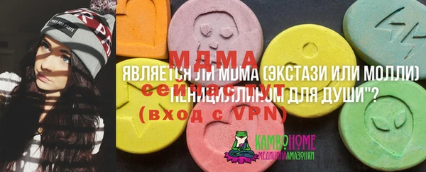 ECSTASY Алзамай
