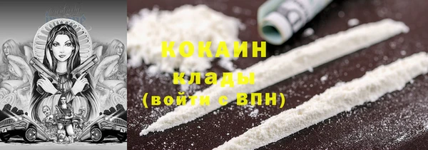 ECSTASY Алзамай