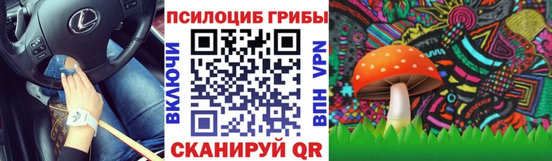 Псилоцибиновые грибы прущие грибы  нарко площадка формула  Калининск  blacksprut рабочий сайт 